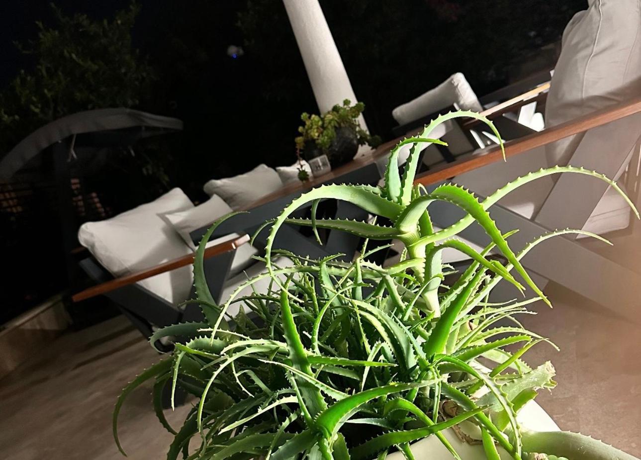 Noa Suite Hotel Only Adult Bodrum Eksteriør bilde